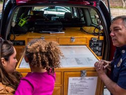 Does drinking milk make stronger bones?