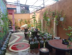 Urban Farming cara sederhana yang efektif tentang ketahanan pangan dan pentingnya menjaga lingkungan perkotaan