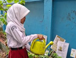Urban Farming SDN Kebon Bawang 05: Manfaatkan Lahan Terbatas dengan Menanam TOGA dan Gelar World Cleanup Day