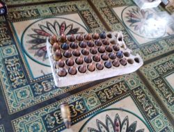 Penemuan 40 Butir Peluru Aktif di Tempat Pembuangan Sampah Kolong Tol Kencana Gegerkan Warga Sungai Bambu