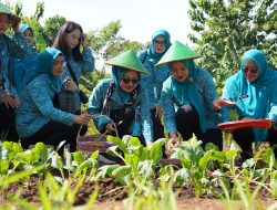 TP PKK Provinsi DKI Jakarta Lakukan Supervisi dan Evaluasi di Jakarta Utara