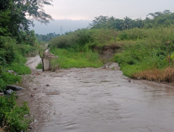 Proyek Perbaikan Turap Kali Cidurian di Desa Kalongsawah Jasinga Bogor Mangkrak, Warga Resah Banjir Marak Terjadi