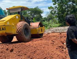 Peran Negara dalam Perlindungan Hukum bagi Perempuan