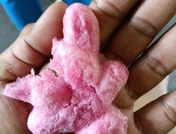 Polres Metro Jakarta Pusat Sigap tanggapi Isu “Es Berbahan Spon”, Penjual Dipulangkan dan Diberi Pendampingan