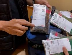 Polda Metro Bongkar Modus Kirim Ganja Pakai Paket Online, Sita 2,3 Kg Barang Bukti