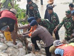 Tanggul Jebol di Muara Gembong, Brimob Bersama TNI dan Warga Bahu-Membahu Lakukan Penanganan