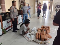 Ditengah pemulihan pasca banjir, Polres Aceh Tenggara berhasil Gagalkan Peredaran 50,7 Kg Ganja