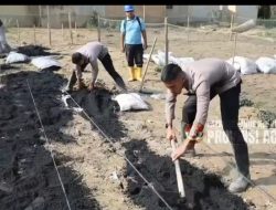 Taruna Akpol Pulihkan Ketahanan Pangan dan UMKM Warga Aceh Tamiang Lewat Pekarangan Pangan Lestari