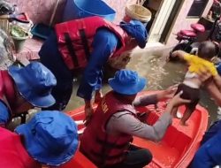 Dari Evakuasi Bayi Sampai Motor, Ditpolairud Polda Metro Jaya Langsung Aksi Tangani Banjir di Kebon Pala