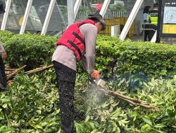 Gerak Cepat Ditsamapta Tangani Pohon Tumbang di Halte MRT Setiabudi Astra