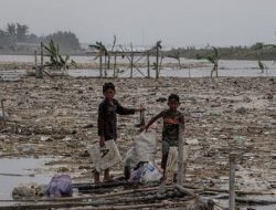 Dorong Pemulihan Ekonomi, Satgas PRR Segera Rehabilitasi Tambak dan Keramba Terdampak