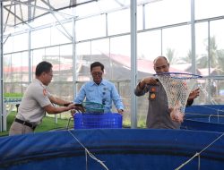 Polda Metro Jaya dan Polres Jakbar Panen 219 Kg Ikan Nila di Greenhouse Palmerah Jakarta Barat Hasilkan Ratusan Kilogram Ikan Nila Merah