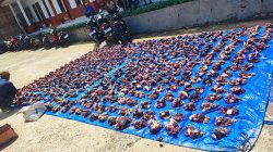 PT Samudera Banten Jaya Tuai Apresiasi Tinggi MPC Pemuda Pancasila Lebak, Qurban 2 Sapi dan Program Sosial Jadi Sorotan